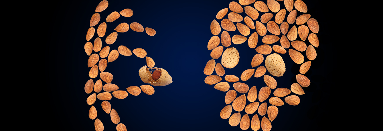 Almonds-vs-Osteoporosis