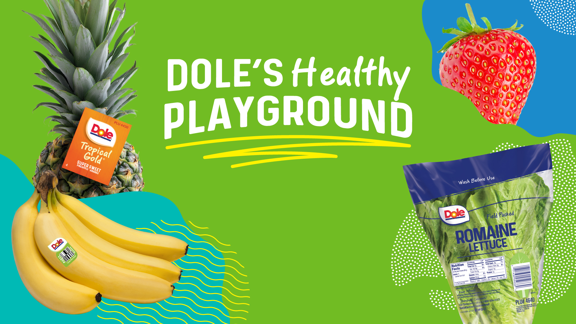 Healthy Playground Header Image