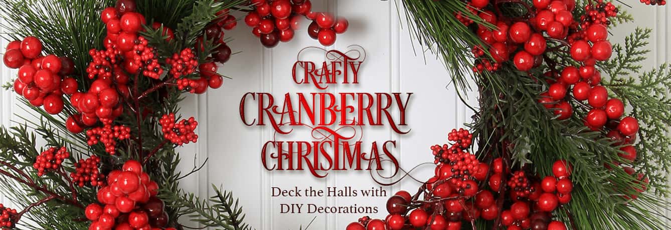 1A_DNN_crafty-cranberry-christmas1338x460