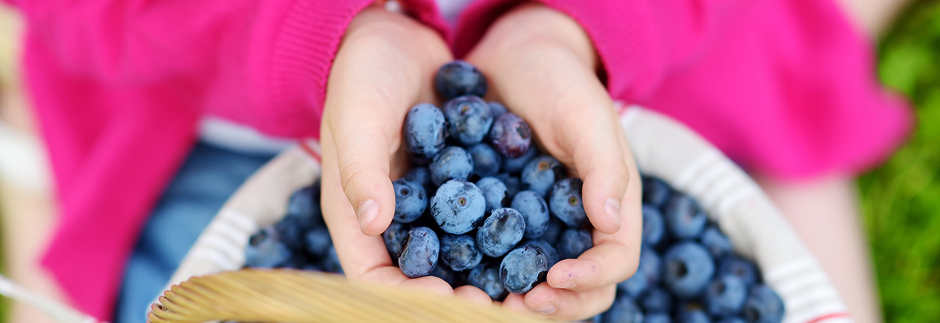Kiddies Get a Boost with Blueberries TOO!