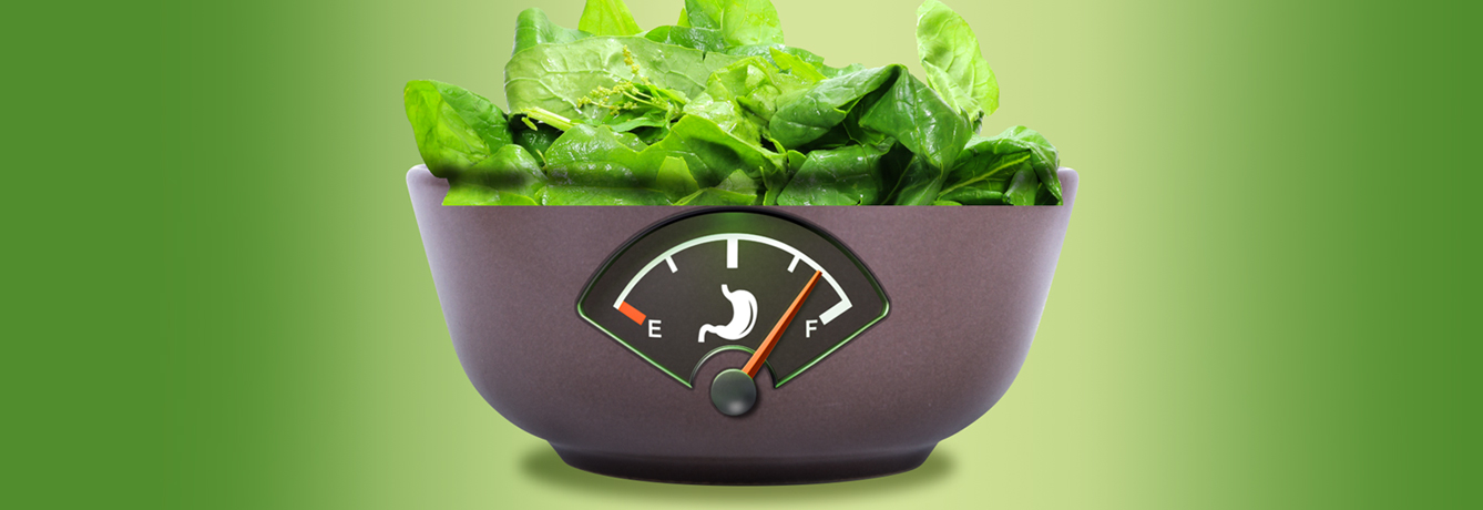 2A-Spinach for Satiety_1338x460