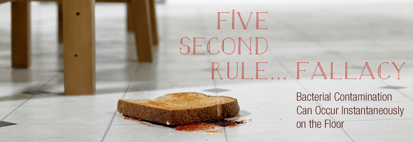 Five Second Rule Fallacy