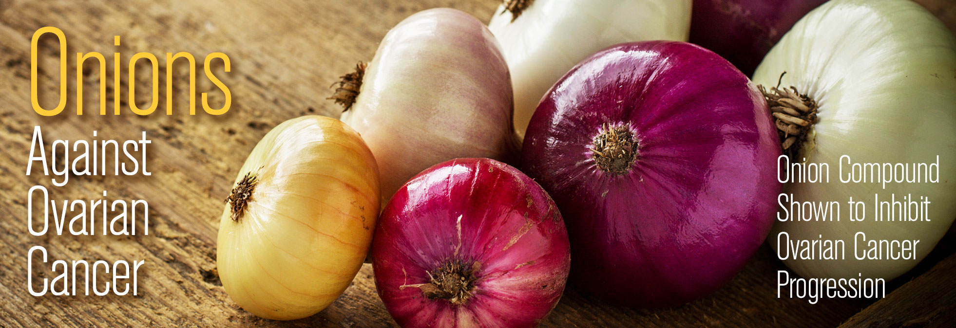 Onions Against Ovarian Cancer