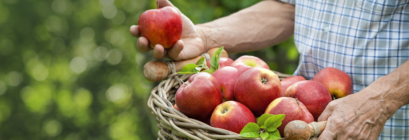 Apples vs. Arthritis