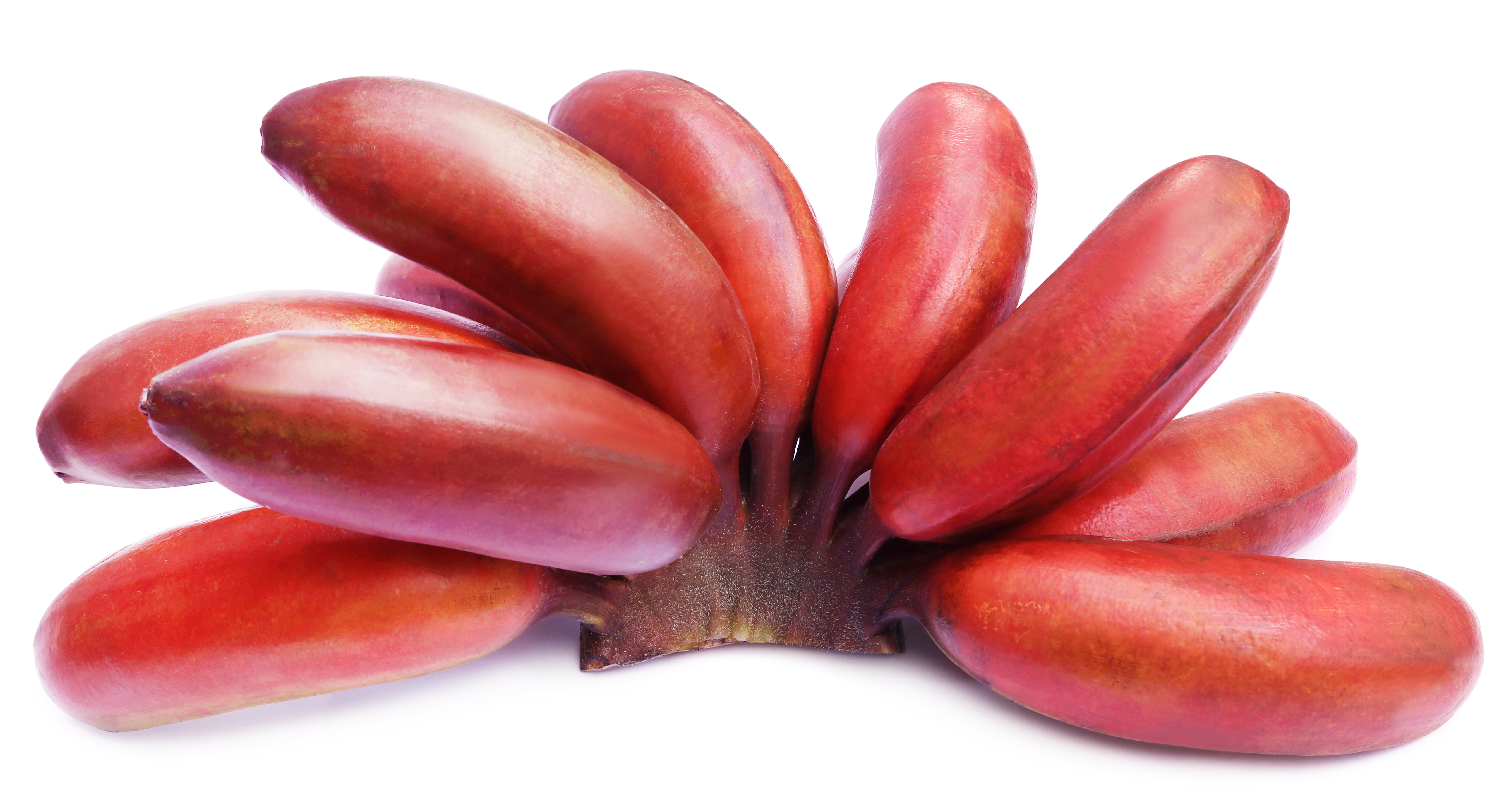 Are Red Bananas for Real?