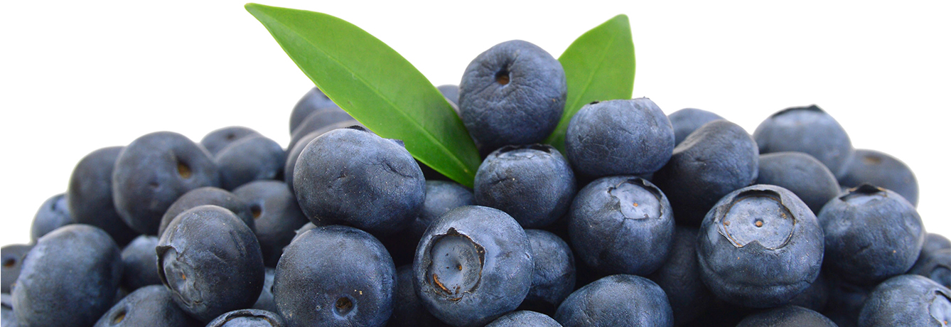 Berry Good for Diabetes- website header