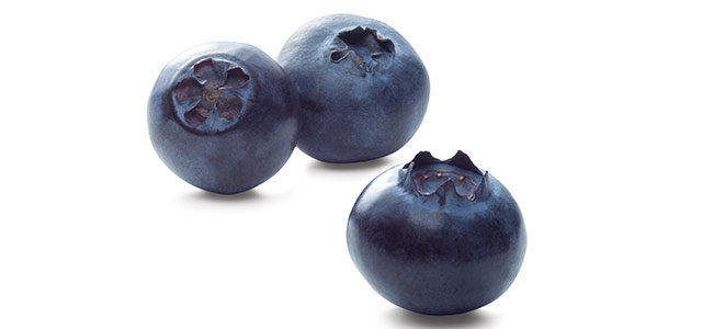 Why are blueberries blue?