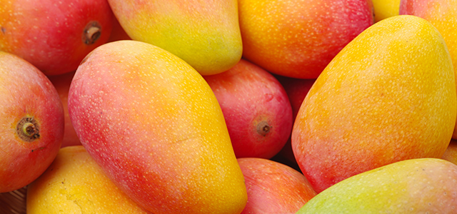 When is a mango ripe enough to eat? We tell you how to check!