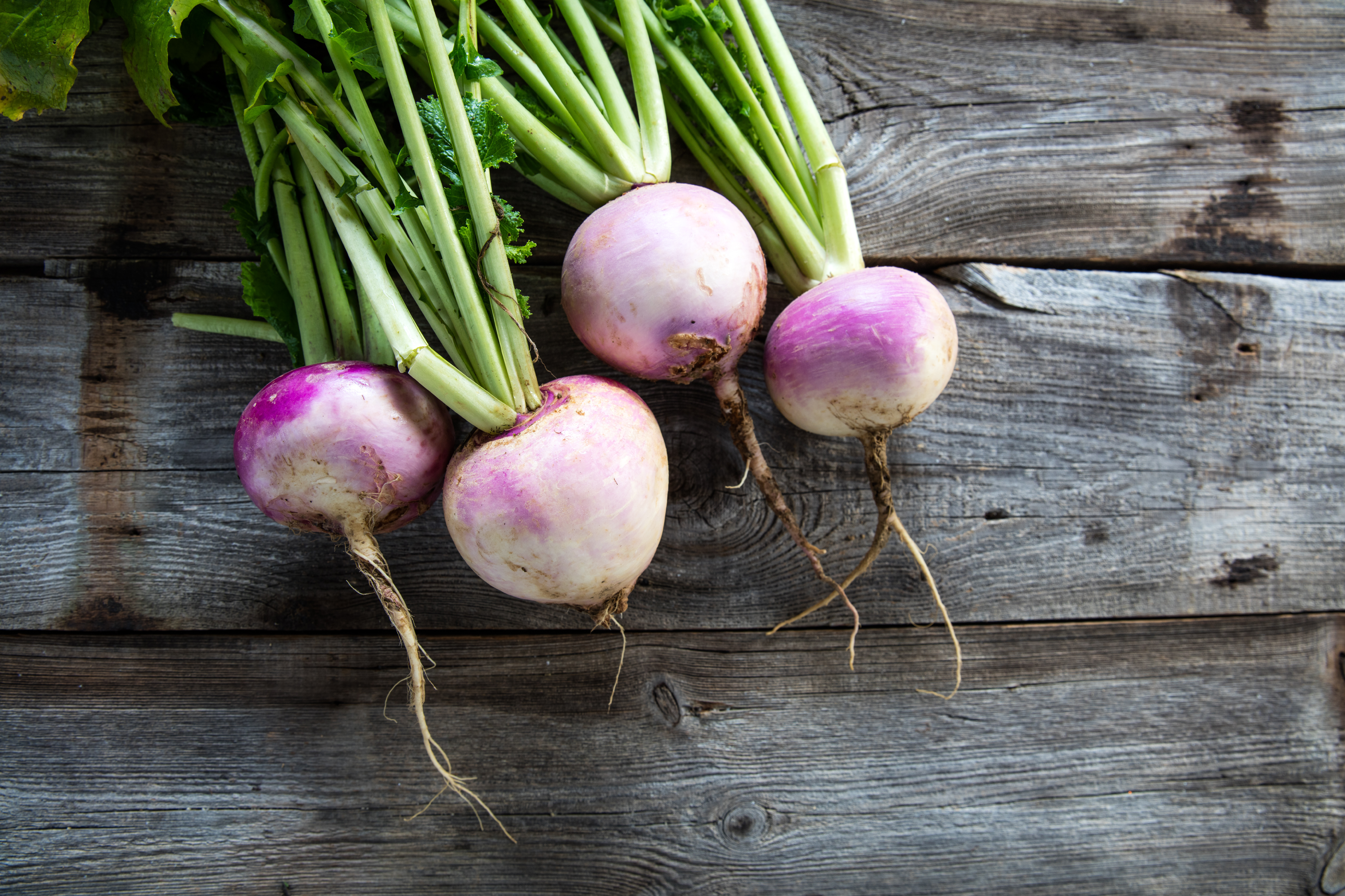 Make Time for Turnips