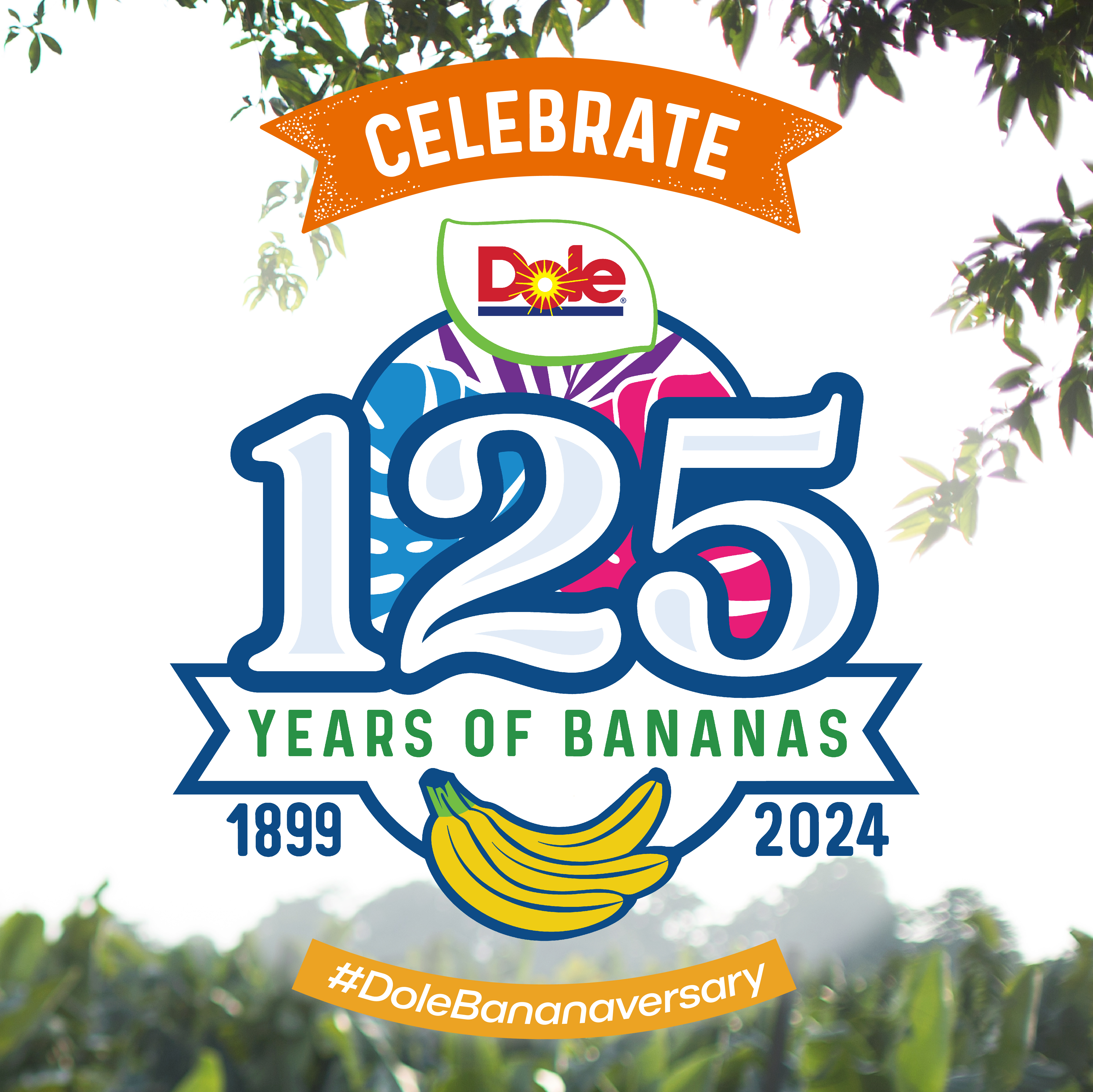 125 Years of Bananas