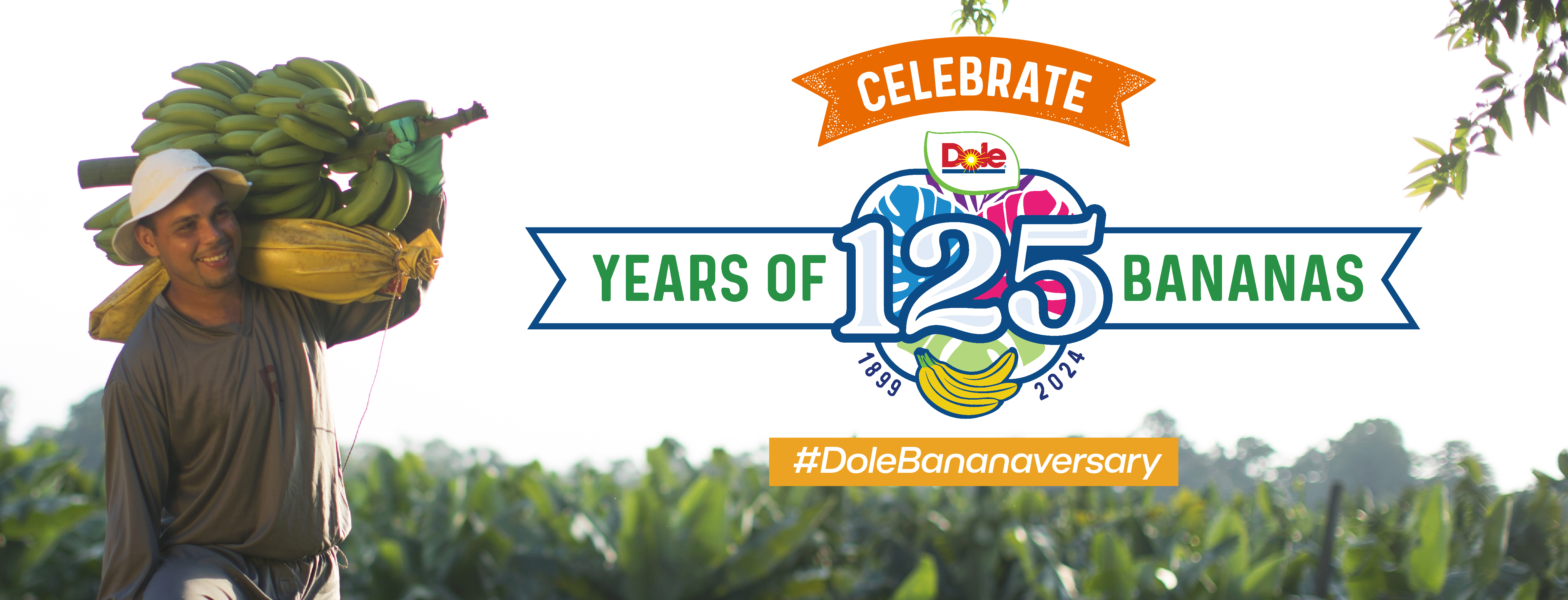 125 Years of Dole Bananas