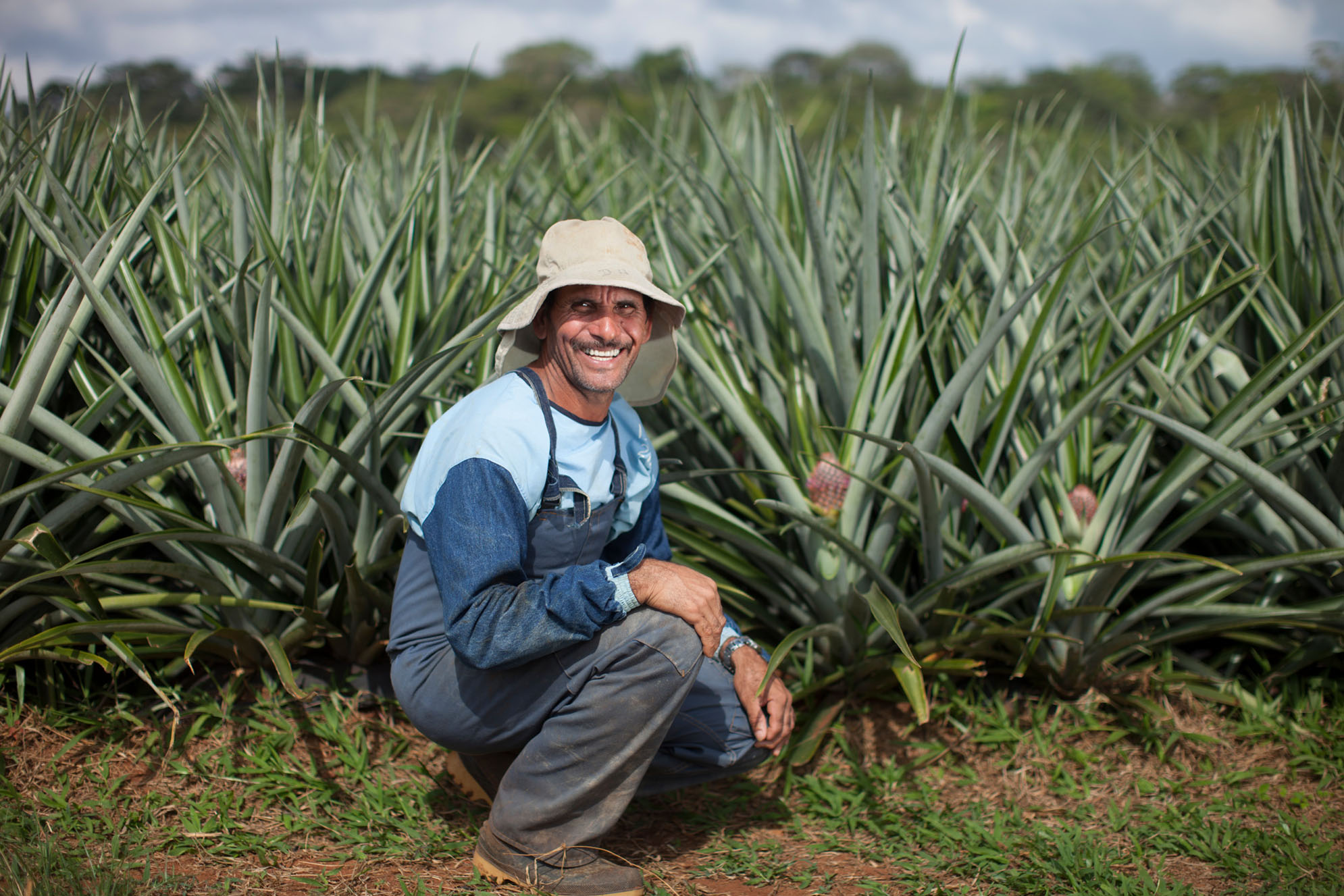 Dole Sustainability Man Pineapple Farmer