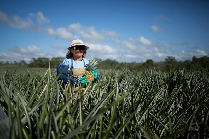 Dole Sustainability Pineapple Woman Farmer
