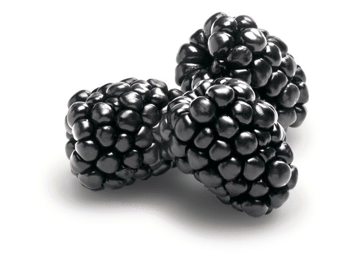 Dole Blackberries Fruit