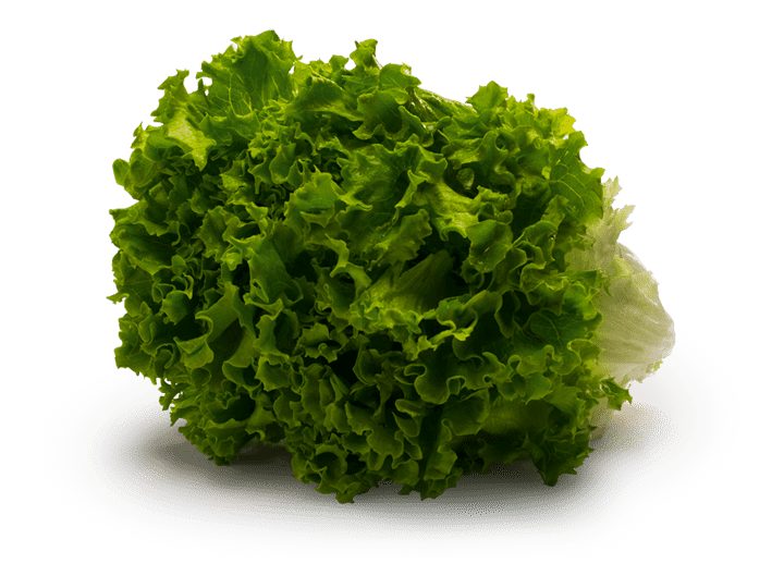 Dole Green Leaf Lettuce Vegetable
