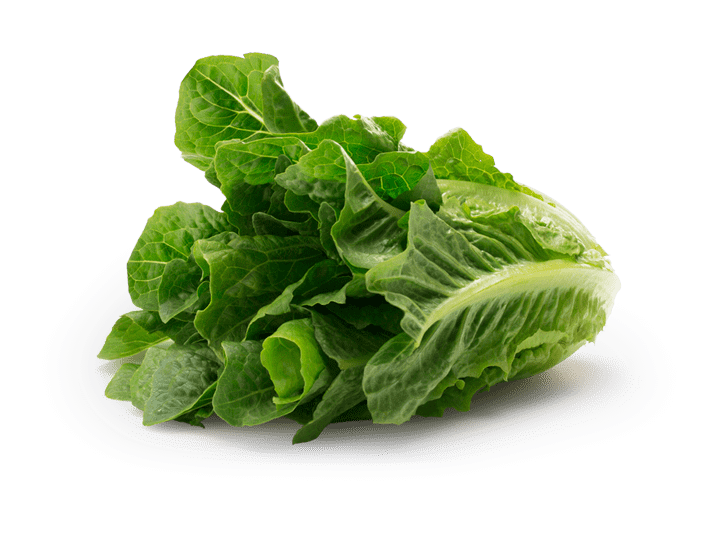 Dole Romain Lettuce Vegetables
