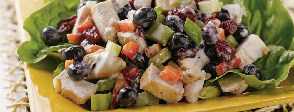 Blueberry Cranberry Chicken Salad